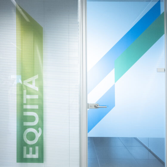 pellicole privacy